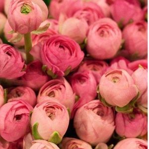 SPRING IS IN THE AIR❤️...............